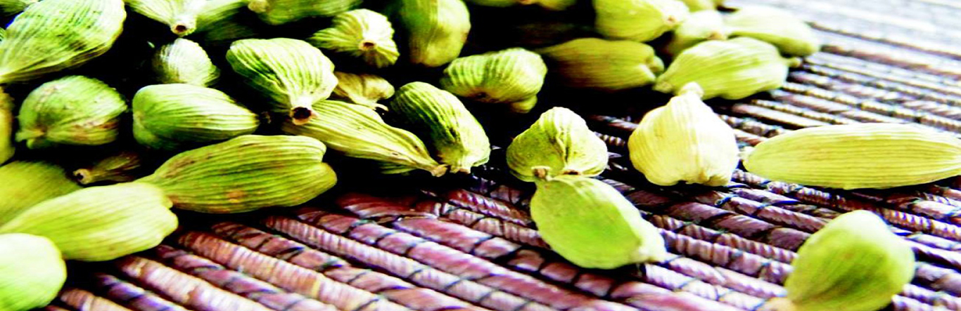 Cardamom